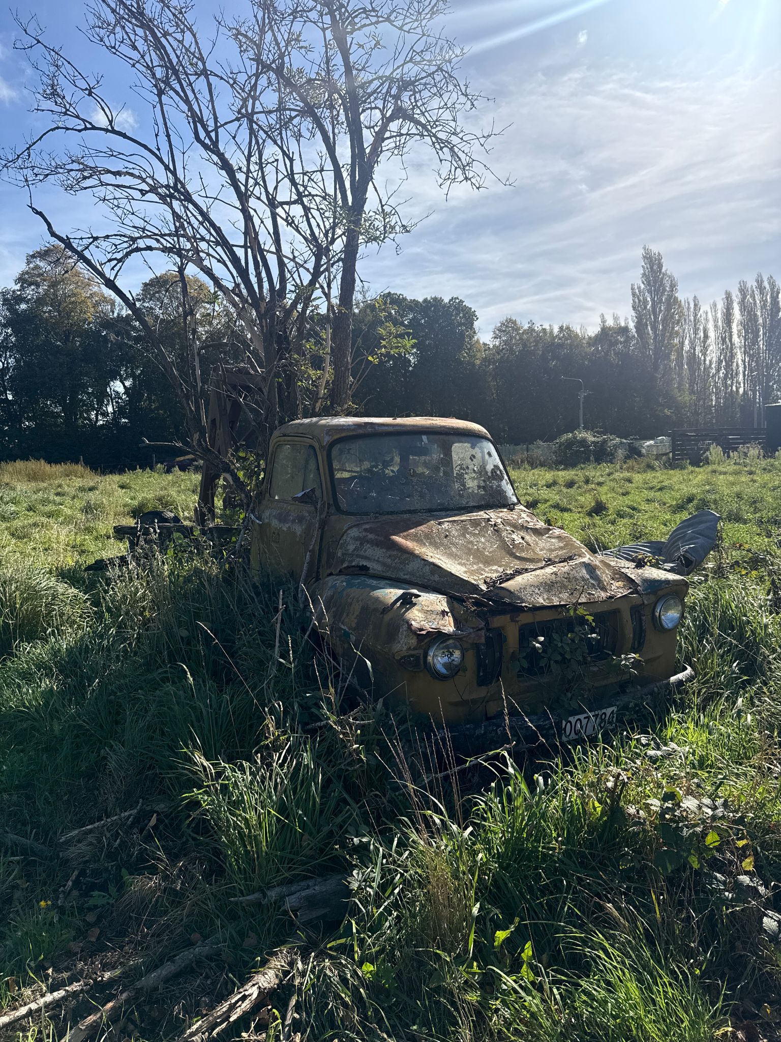 Murray's Holden an Accidental Rangiora Landmark