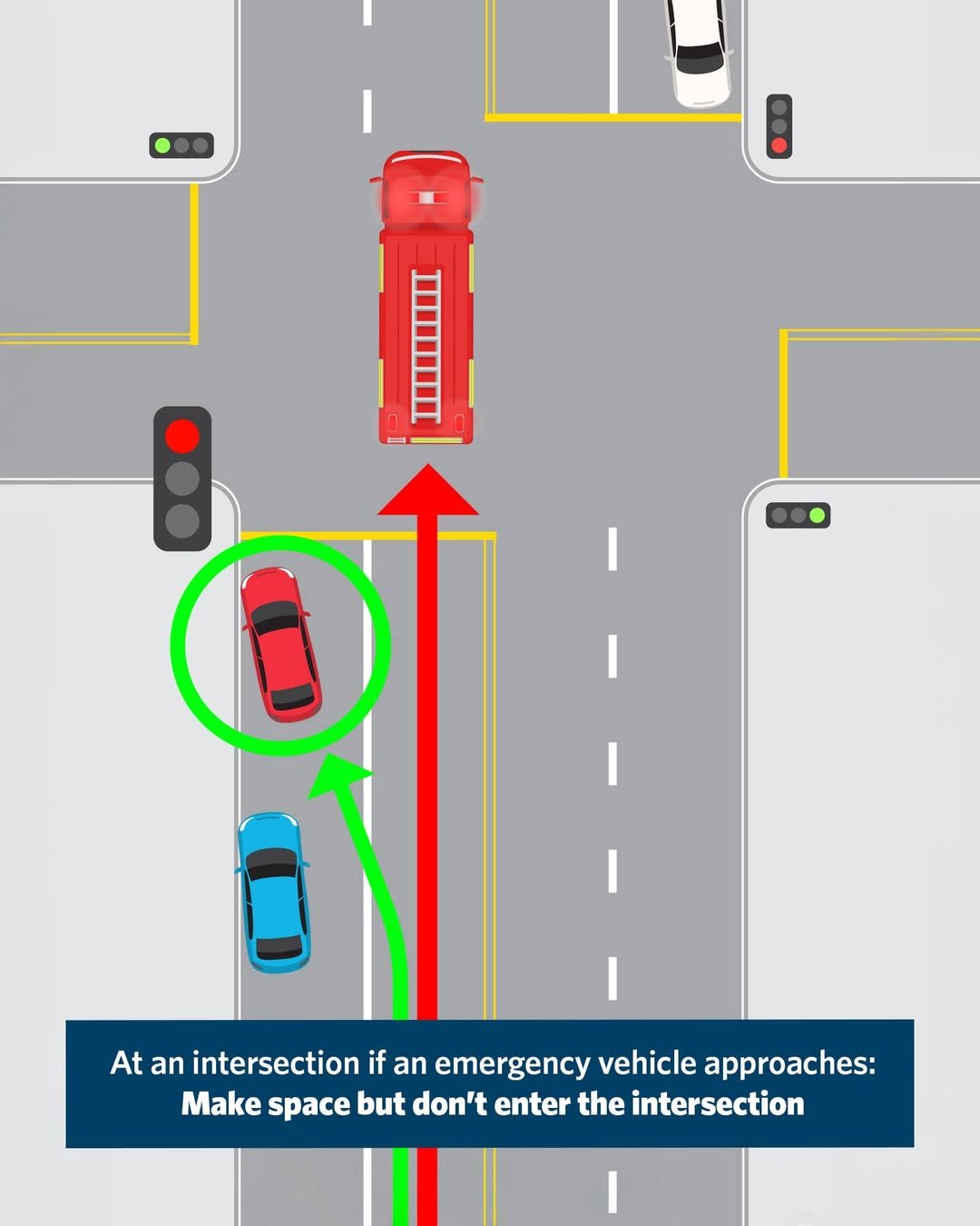 Te Aro's Margaret Whitcombe Takes on NZTA in Diagram Dispute